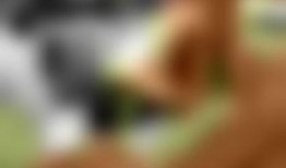 国产欧美视频在线观看,在线观影新体验